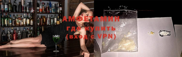 амф Дмитриев