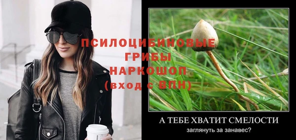 MDMA Няндома