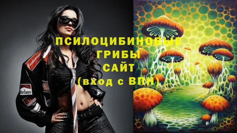 Галлюциногенные грибы Psilocybe  что такое наркотик  Гурьевск 