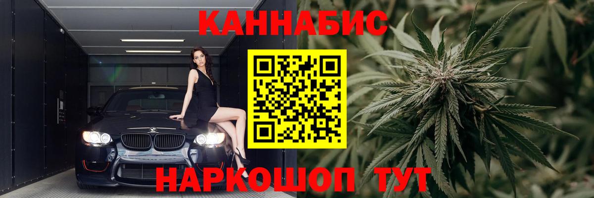 Конопля план Гурьевск